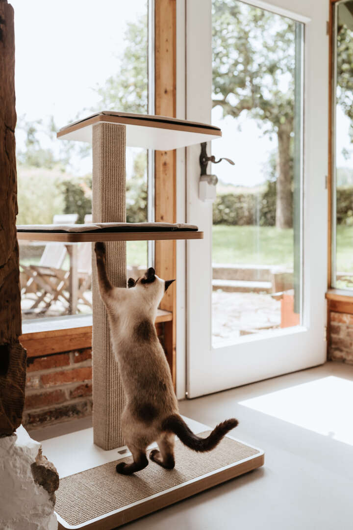 stylecats Kratzbaum Owen mit Sisal